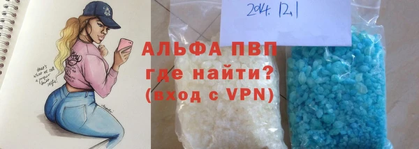 стаф Алексин