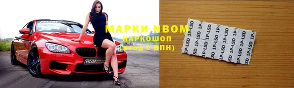стаф Алексин