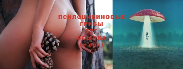 стаф Алексин