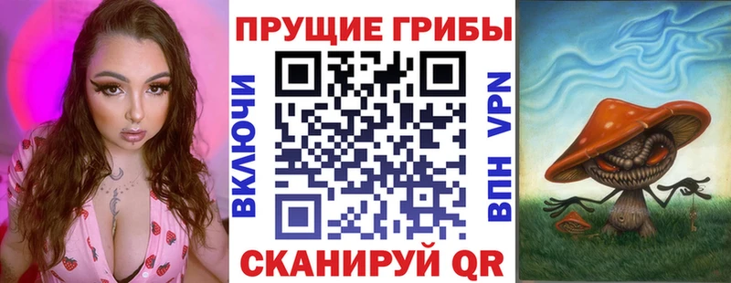 MEGA   что такое   Карачаевск  Галлюциногенные грибы мухоморы 