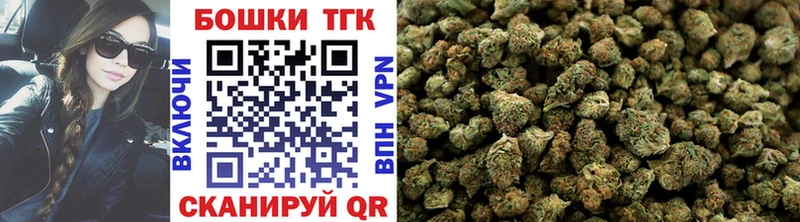 Шишки марихуана VHQ  продажа наркотиков  Карачаевск 